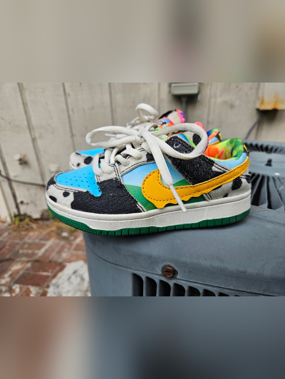 Chunky Dunks